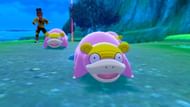 Several Galarian Slowpoke in Sword and Shield (Image via Game Freak)
